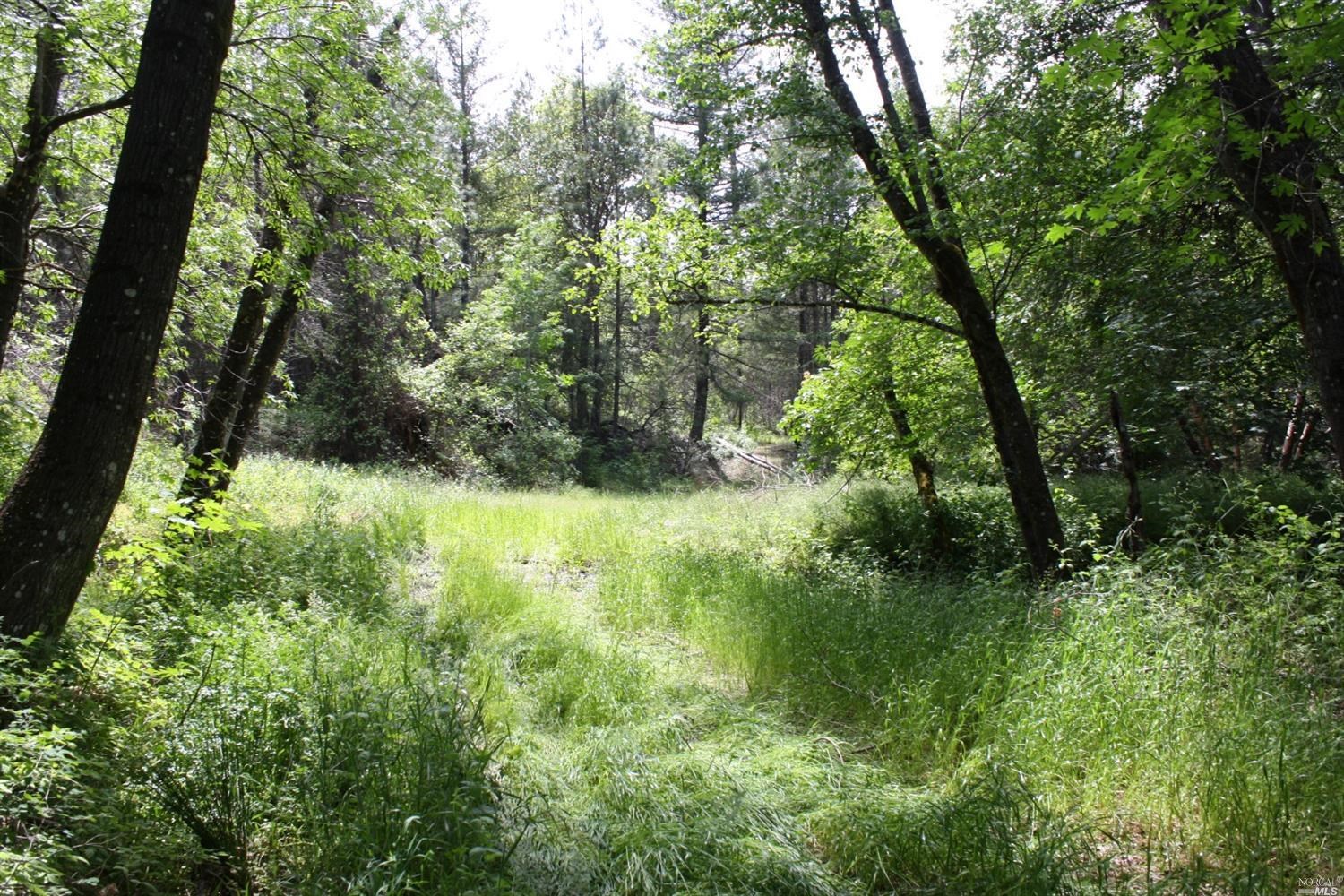 0 Williams Creek Road Covelo, CA 95428 - Photo 32 of 40 a view of outdoor space and garden