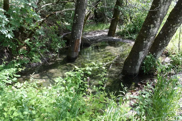 a view of a lake view
