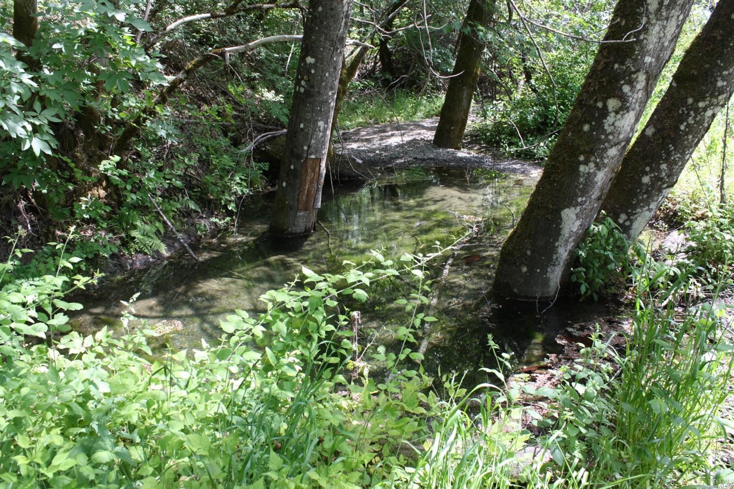 0 Williams Creek Road Covelo, CA 95428 - Photo 33 of 40 a backyard of a house with lots of green space