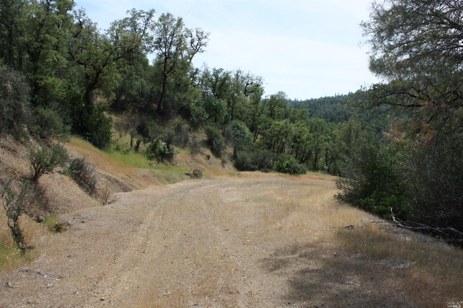 0 Williams Creek Road Covelo, CA 95428 - Photo 34 of 40 a view of a dirt road with trees in the background