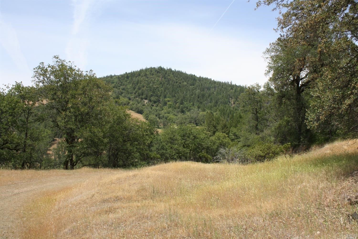 0 Williams Creek Road Covelo, CA 95428 - Photo 35 of 40 a view of a field