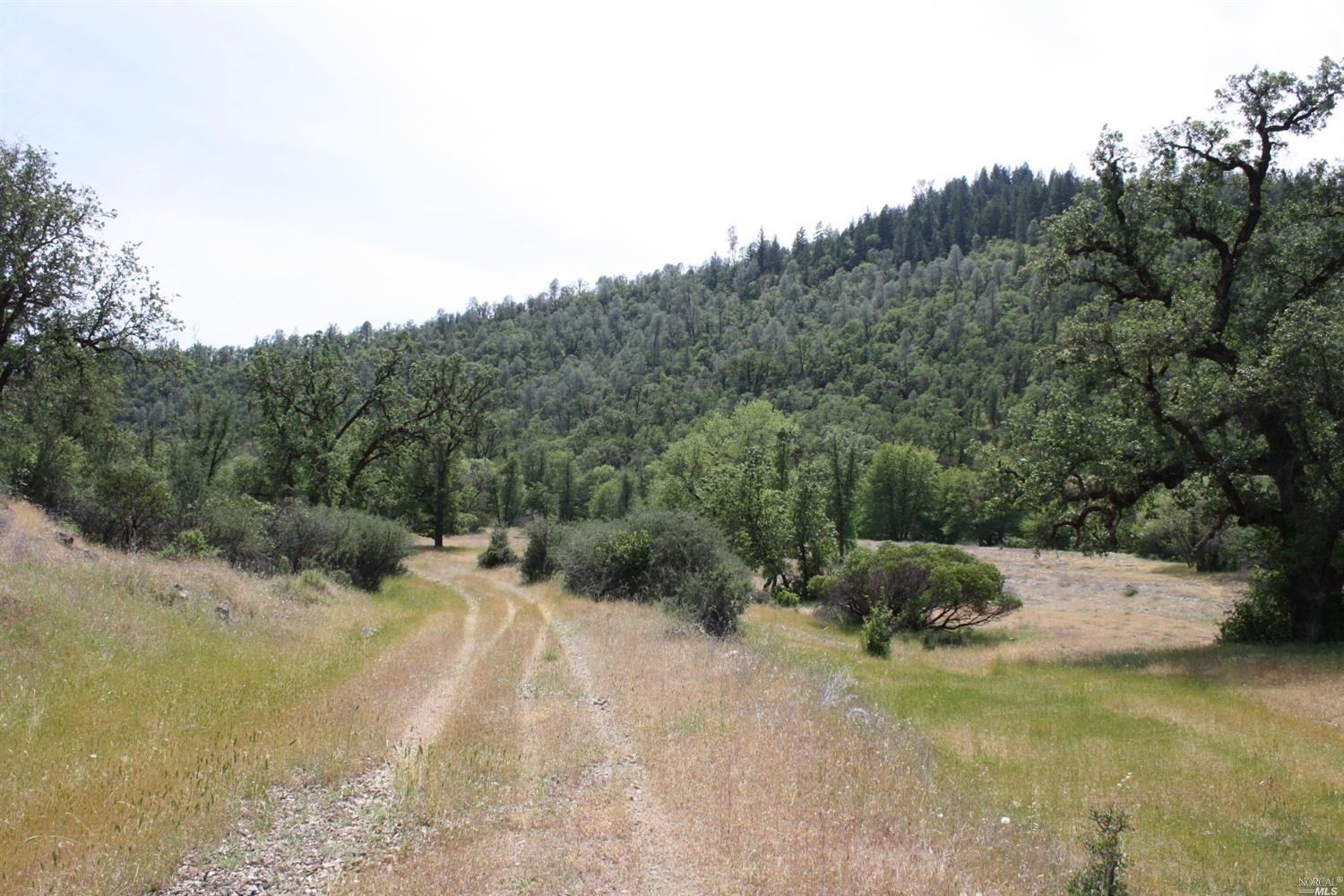 0 Williams Creek Road Covelo, CA 95428 - Photo 36 of 40 a view of a road with a yard