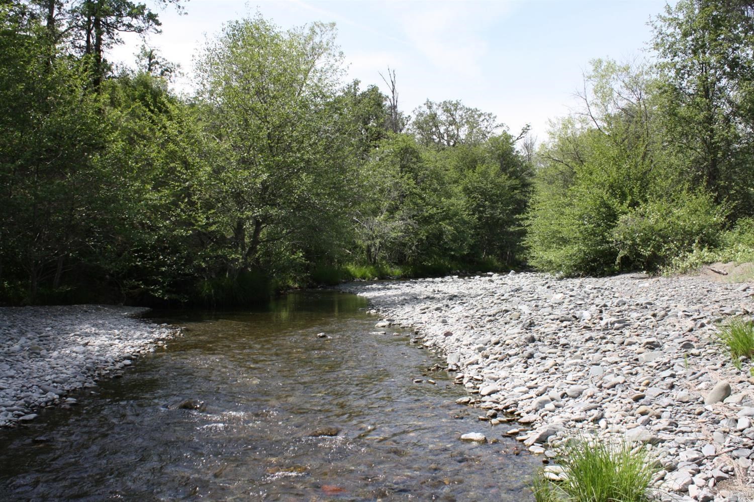 0 Williams Creek Road Covelo, CA 95428 - Photo 37 of 40 a view of a yard with plants and trees