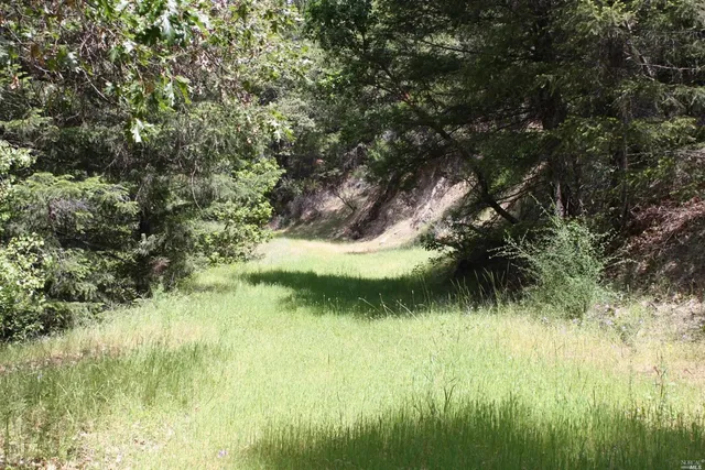 a view of lake background and tree