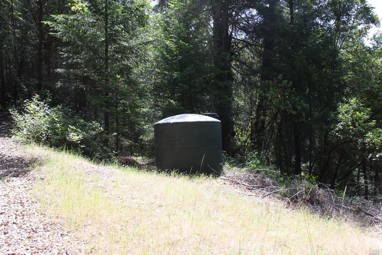0 Williams Creek Road Covelo, CA 95428 - Photo 6 of 40 a view of a backyard of the house