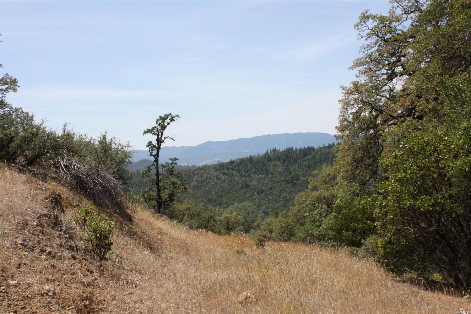0 Williams Creek Road Covelo, CA 95428 - Photo 7 of 40 a view of a dry yard with trees