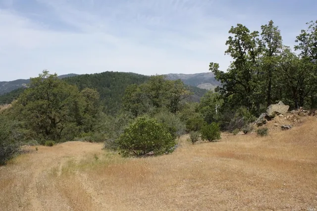 a view of a covered with snow in the background