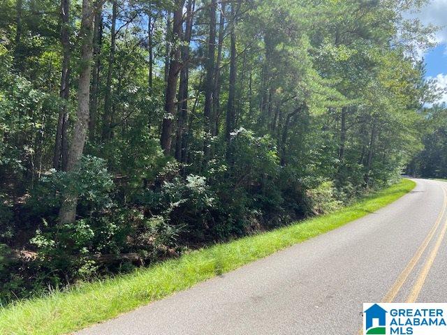 0 County Road 89, Unit 1 Clanton, AL 35046 - Photo 14 of 17