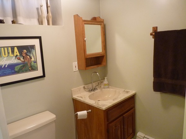 54 Harding Street Newton, MA 02465 - Photo 29 of 30 Gallery Image 29