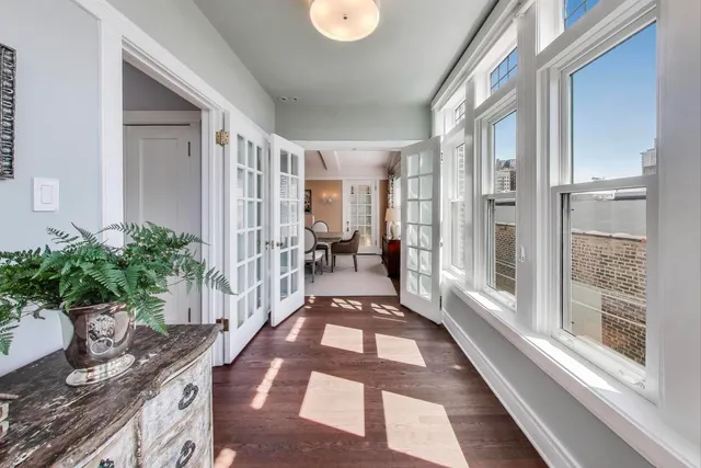a view of a hallway with a potted plant
