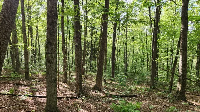 $49,900 | 0 Hardknocks Road, Unadilla, NY 13849