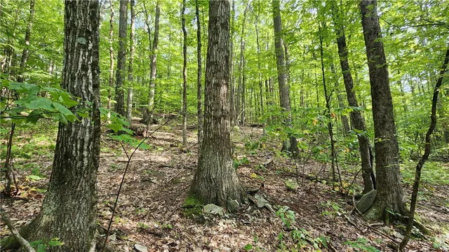 $49,900 | 0 Hardknocks Road, Unadilla, NY 13849