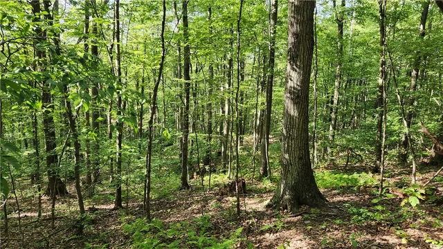 $49,900 | 0 Hardknocks Road, Unadilla, NY 13849