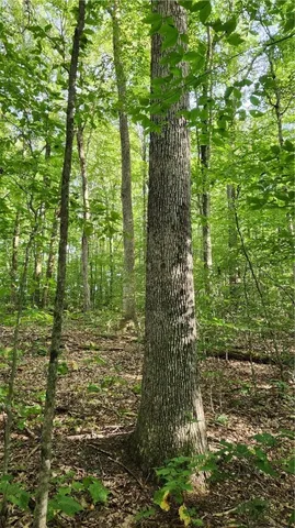 $49,900 | 0 Hardknocks Road, Unadilla, NY 13849