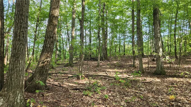 $49,900 | 0 Hardknocks Road, Unadilla, NY 13849