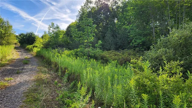 $49,900 | 0 Hardknocks Road, Unadilla, NY 13849