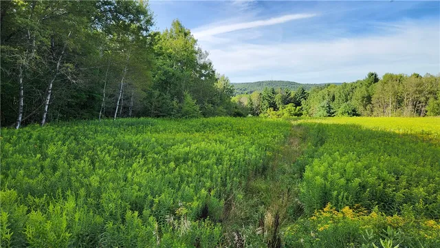 $49,900 | 0 Hardknocks Road, Unadilla, NY 13849
