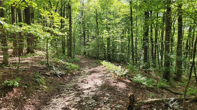 $49,900 | 0 Hardknocks Road, Unadilla, NY 13849