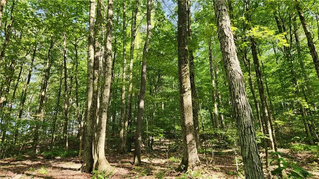 $49,900 | 0 Hardknocks Road, Unadilla, NY 13849