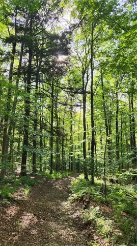 $49,900 | 0 Hardknocks Road, Unadilla, NY 13849