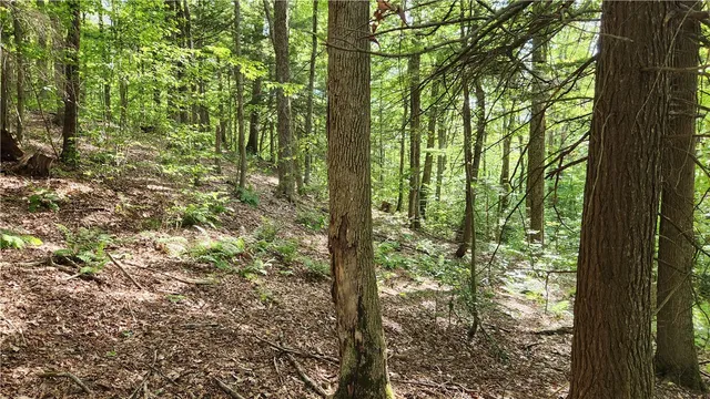 $49,900 | 0 Hardknocks Road, Unadilla, NY 13849