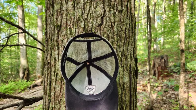 $49,900 | 0 Hardknocks Road, Unadilla, NY 13849