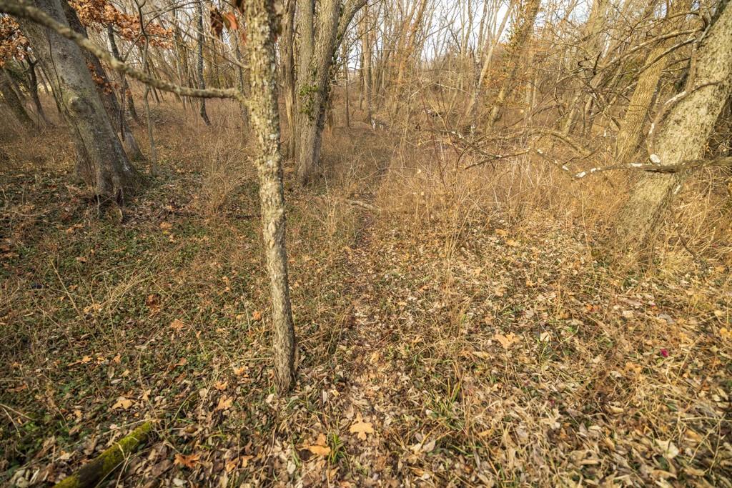 2365 John Brown Road Princeton, KS 66078 - Photo 35 of 66