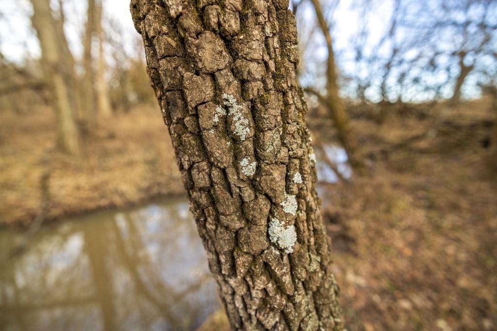 2365 John Brown Road Princeton, KS 66078 - Photo 36 of 66