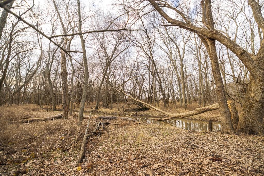 2365 John Brown Road Princeton, KS 66078 - Photo 41 of 66