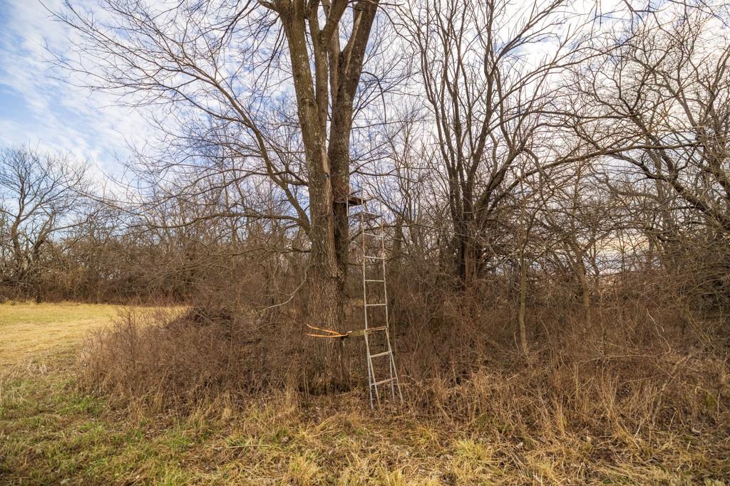 2365 John Brown Road Princeton, KS 66078 - Photo 43 of 66