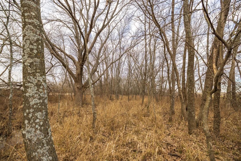 2365 John Brown Road Princeton, KS 66078 - Photo 45 of 66