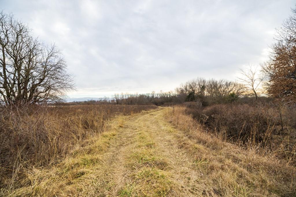 2365 John Brown Road Princeton, KS 66078 - Photo 58 of 66