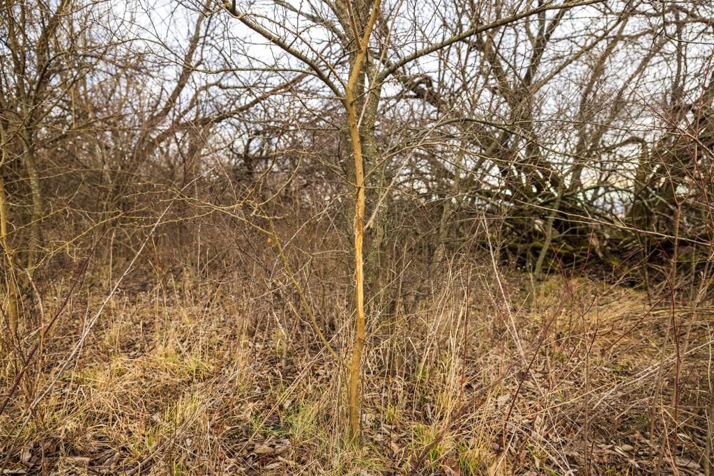 2365 John Brown Road Princeton, KS 66078 - Photo 59 of 66