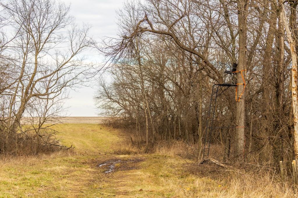 2365 John Brown Road Princeton, KS 66078 - Photo 63 of 66