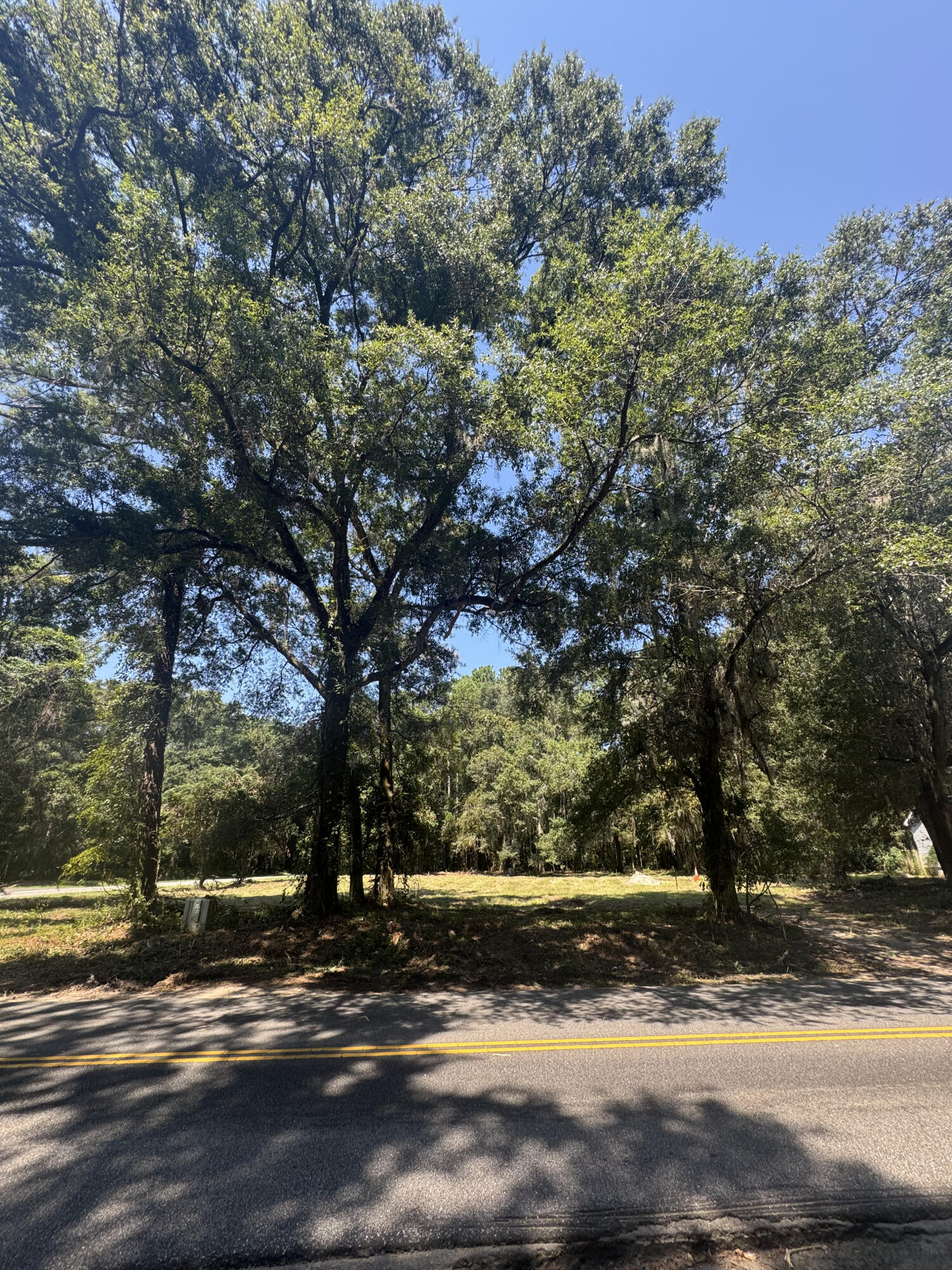 3634 Berryhill Road Johns Island, SC 29455 - Photo 16 of 59 Berryhill homesite 2