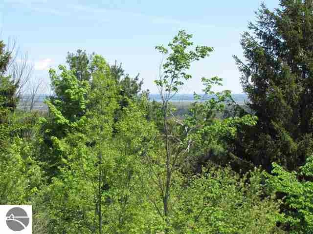 3442 Zimmerman Road Traverse City, MI 49685 - Photo 9 of 28 1746665-8.JPG