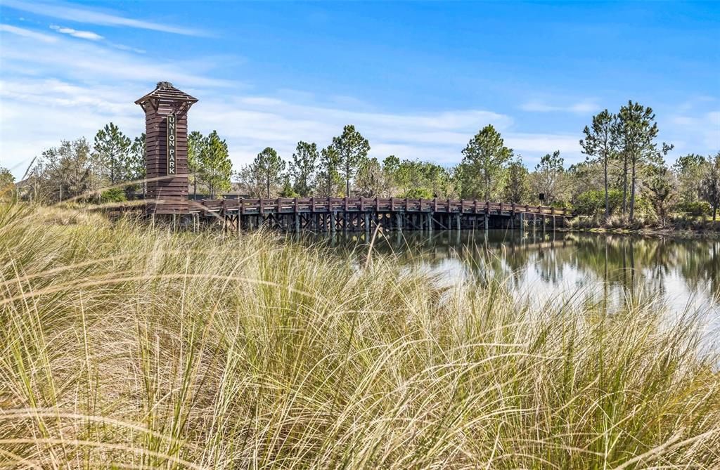 1435 Montgomery Bell Road Wesley Chapel, FL 33543 - Photo 46 of 53