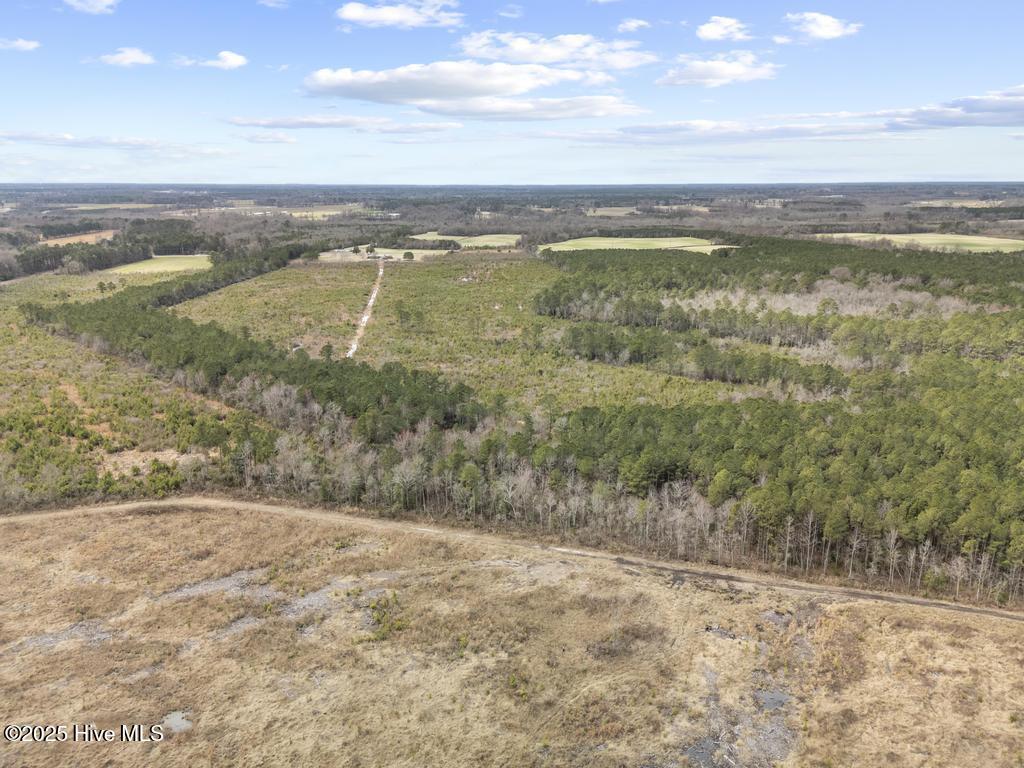 2455 East Darden Road Faison, NC 28341 - Photo 11 of 18 DJI_20250307120831_0591_D