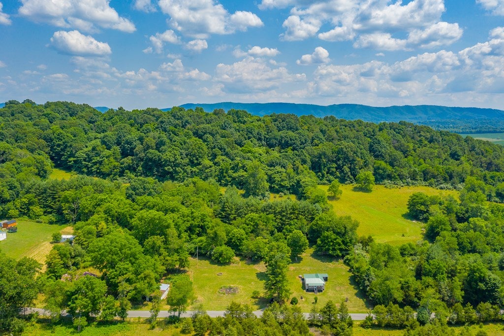 179 Sanders Mines Road Max Meadows, VA 24360 - Photo 49 of 54 Gallery Image 49