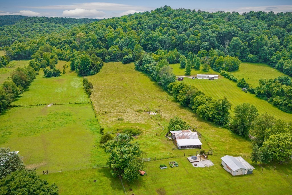 1653 Lester Flatt Road Sparta, TN 38583 - Photo 7 of 59