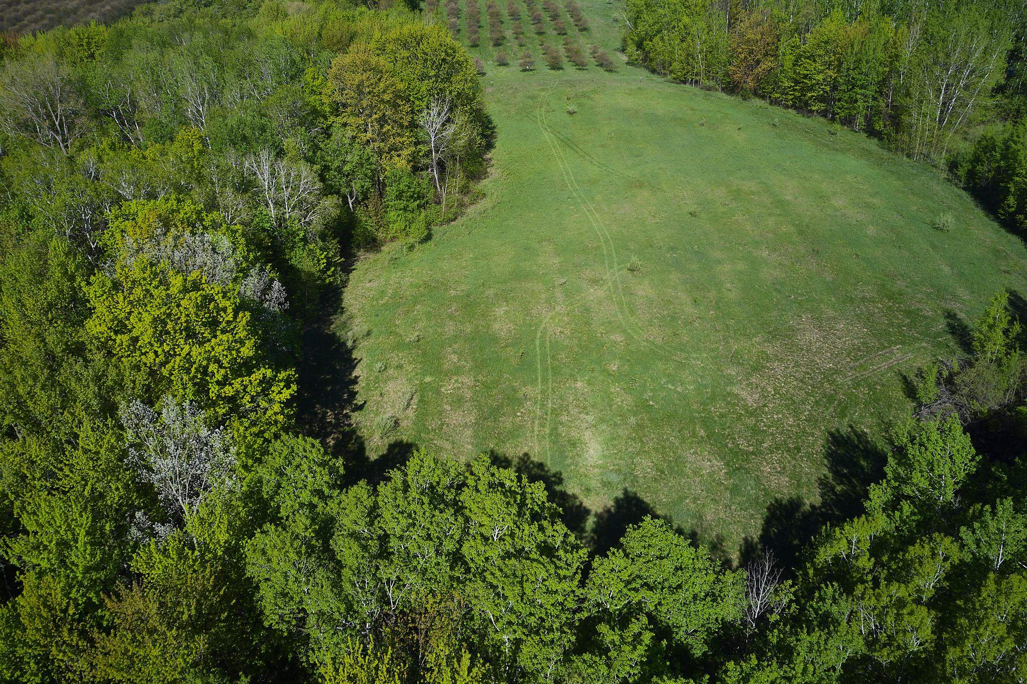 Three Three Mile Road, Unit LOT: G Traverse City, MI 49696 - Photo 4 of 8