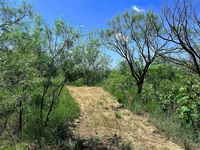 a view of lake with green space