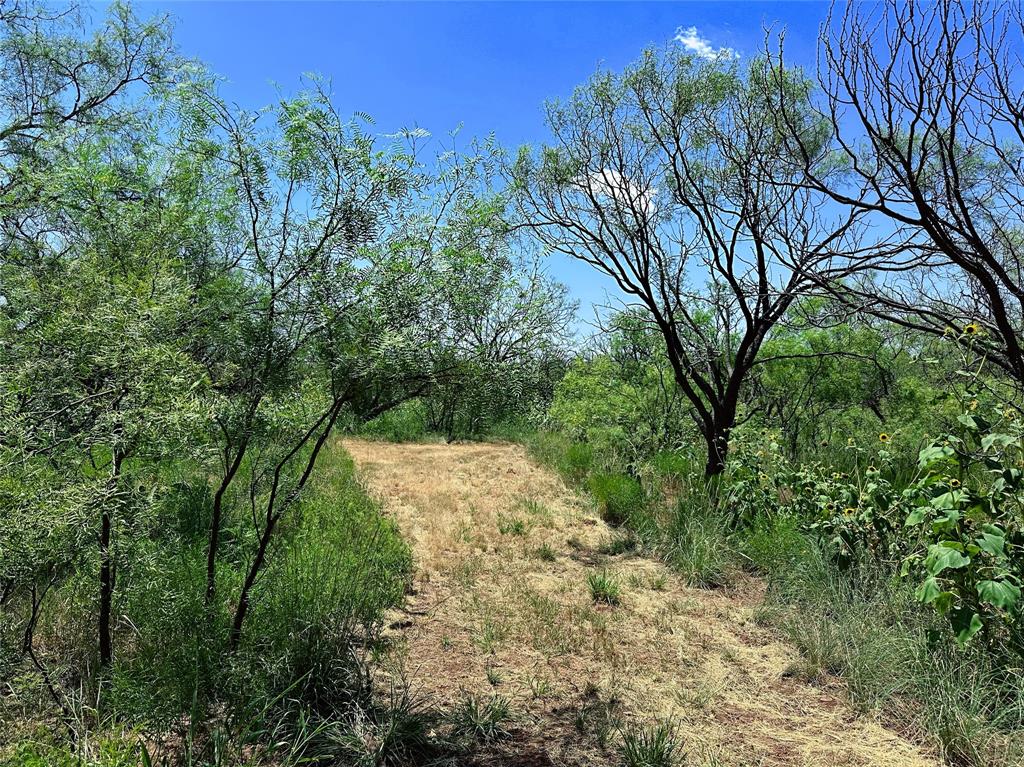 12415 County Road 356 Anson, TX 79501 - Photo 11 of 36 a view of backyard with green space