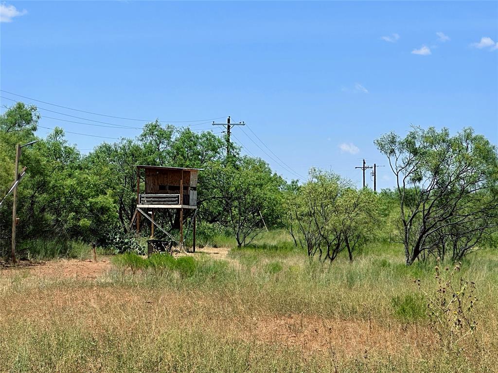 12415 County Road 356 Anson, TX 79501 - Photo 14 of 36 a backyard of a house with lots of green space and trees
