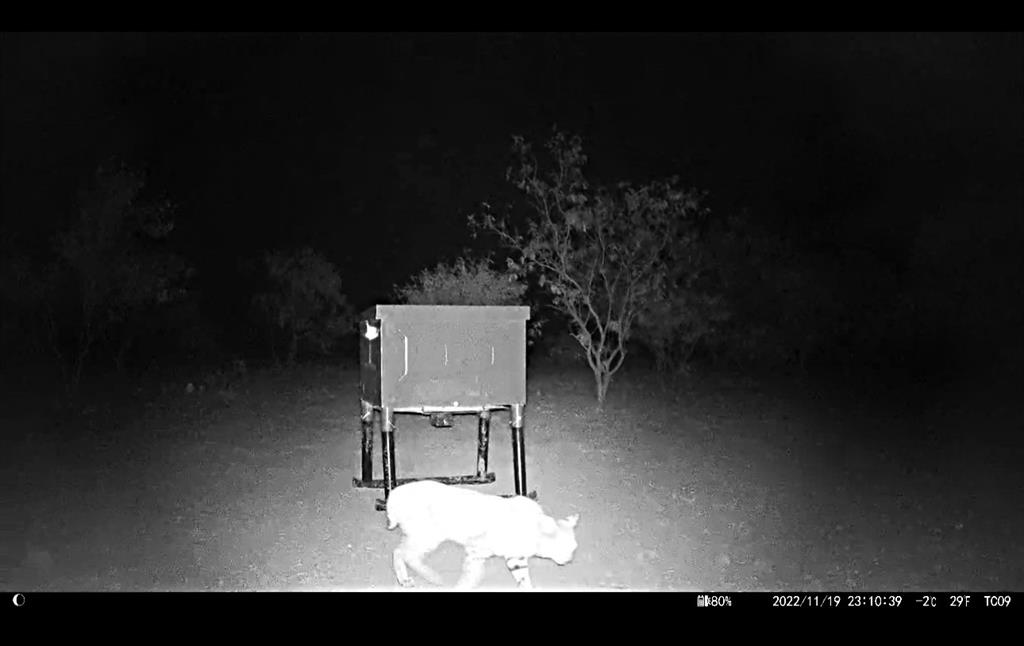 12415 County Road 356 Anson, TX 79501 - Photo 21 of 36 a balcony with table and chairs