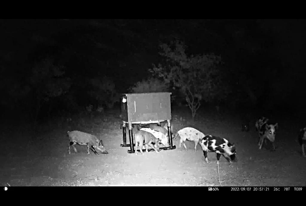 12415 County Road 356 Anson, TX 79501 - Photo 22 of 36