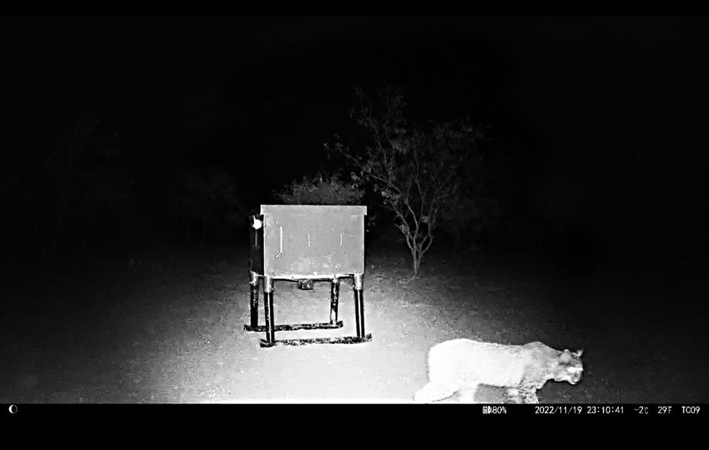 12415 County Road 356 Anson, TX 79501 - Photo 23 of 36 a view of workspace with sitting space
