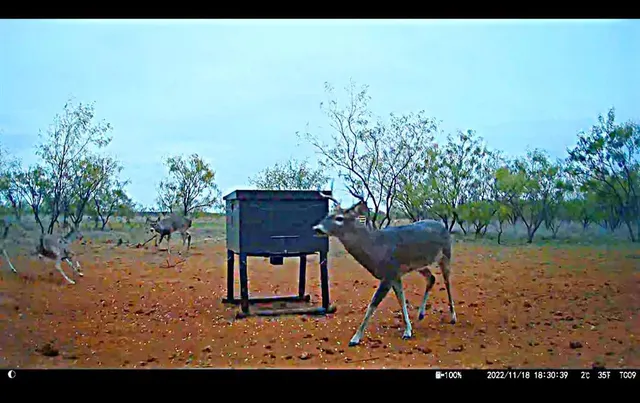 a view of lake and mountain view