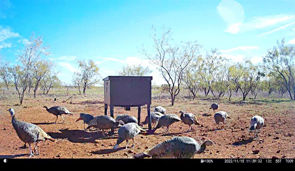 12415 County Road 356 Anson, TX 79501 - Photo 26 of 36 a view of yard with outdoor seating