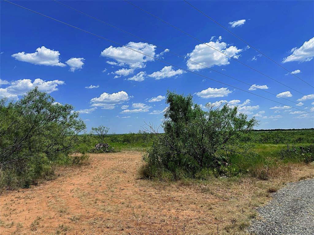 12415 County Road 356 Anson, TX 79501 - Photo 27 of 36 a view of a yard with large tree
